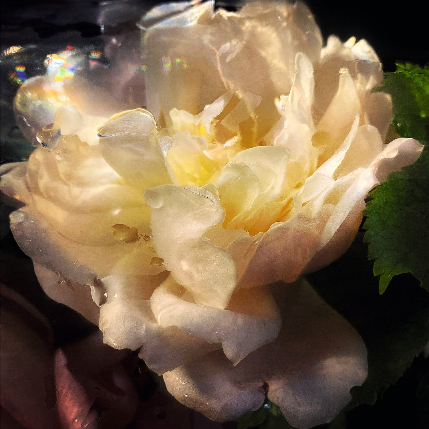 MJ Harper Katy England Benjamin A Huseby Charlie Gosling