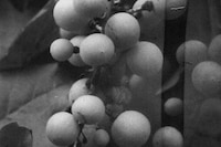 Daisuke Yokota x Another Man