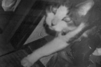 Daisuke Yokota x Another Man